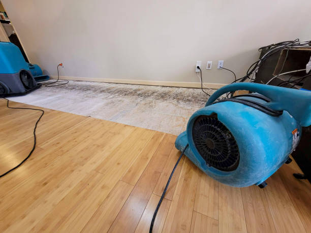Professional Sewage Cleanup technician working in Bolinas, CA